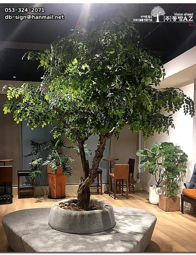 인조목 - 배롱나무